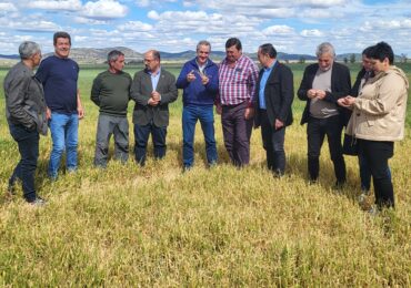 Izquierdo (PAR) reclama el incremento del importe de las Medidas Agroambientales para los agricultores de los pueblos del entorno de la Laguna de Gallocanta